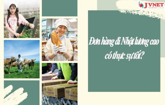 Đi Nhật Bản lương cao