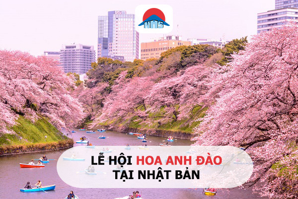 lễ hội hoa anh đào Nhật Bản