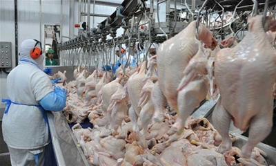 TUYỂN 12 NỮ CHẾ BIẾN ĐỒ ĂN SẴN