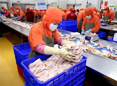 TUYỂN 6 NỮ CHẾ BIẾN THỰC PHẨM